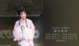 红楼梦电视剧2017,经典再现，情感交织的梦幻人生