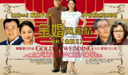 金婚风雨情电视剧全集,岁月如歌，爱情永恒的见证