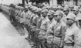 桂南会战电视剧全集,桂南会战电视剧全集战事风云