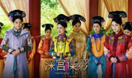 深宫谍影电视剧,宫廷秘事，权谋风云