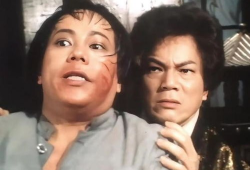 陈真电视剧,热血江湖，武术传奇